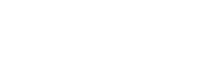 Zhivo Dance Team Logo